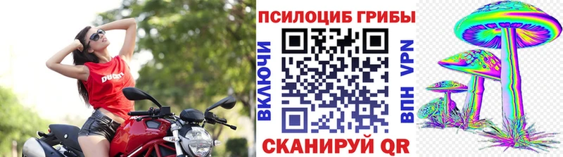 Псилоцибиновые грибы ЛСД Калининск