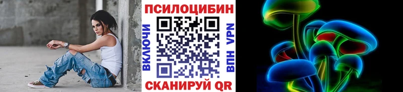 Купить  Калининск  Псилоцибиновые грибы Cubensis 